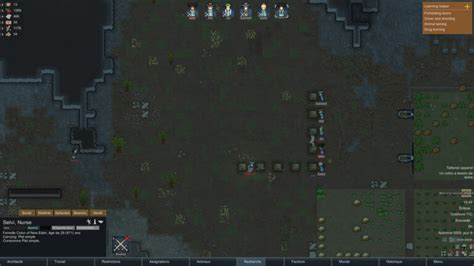  RimWorld:  Colonie spatiale chaotique et récit emergent captivant!